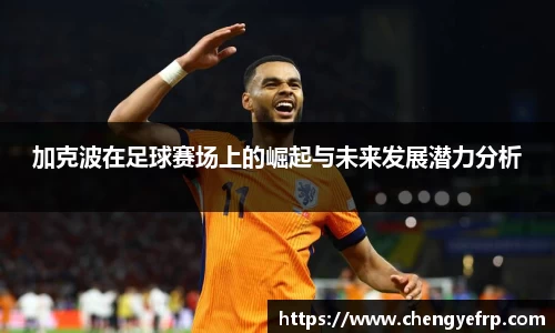星空·综合体育中国官网